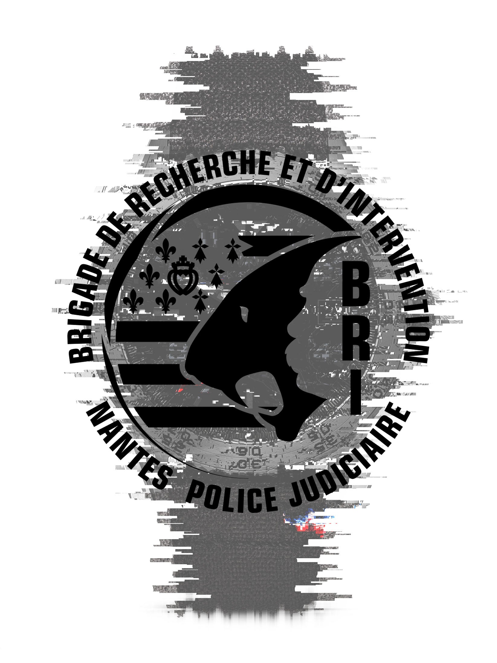 C-03 BRI Nantes / Public