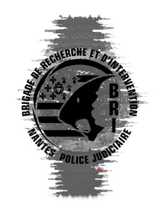 C-03 BRI Nantes / Public