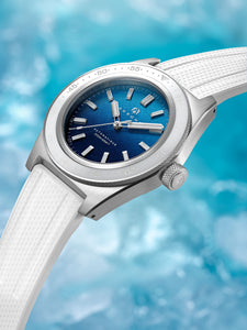 C-02 Antarctique